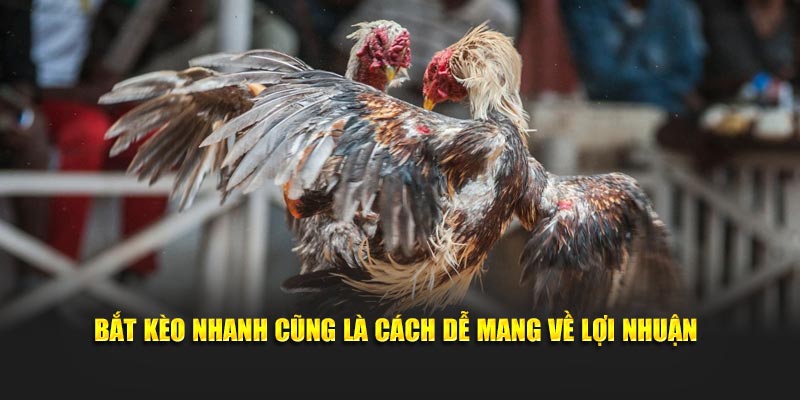 Bắt kèo nhanh cũng là cách dễ mang về lợi nhuận