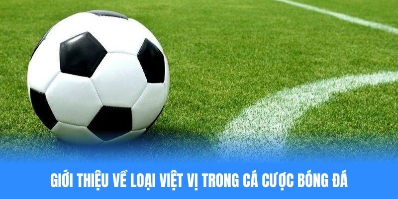 Giới thiệu về loại kèo việt vị trong cá cược bóng đá