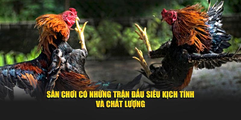 Sân chơi có những trận đấu siêu kịch tính và chất lượng